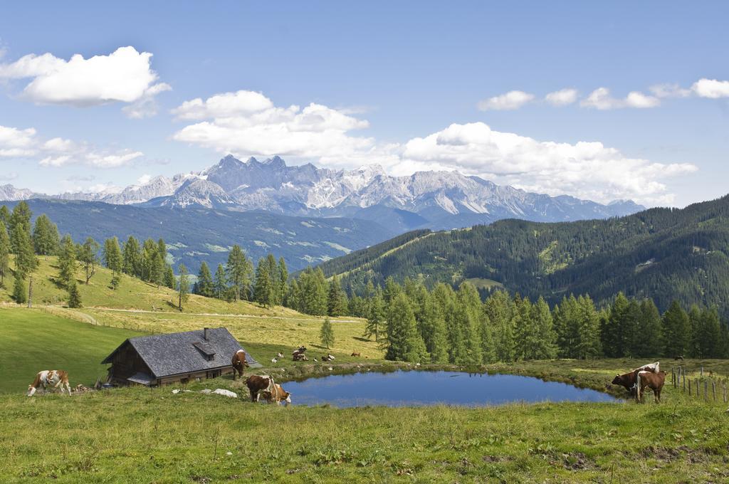 Bauernhofurlaub Sinnhubgut Altenmarkt im Pongau Exterior photo