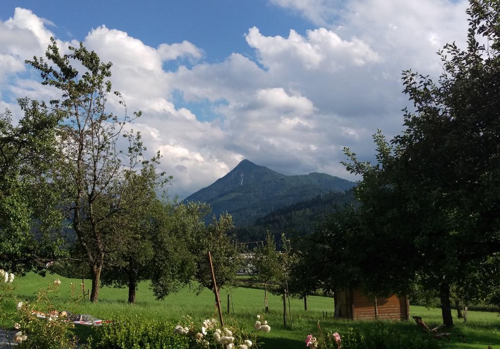 Bauernhofurlaub Sinnhubgut Altenmarkt im Pongau Exterior photo